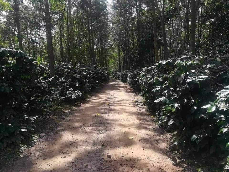 Hotel Shwe Nann Htike Pyin Oo Lwin Bagian luar foto