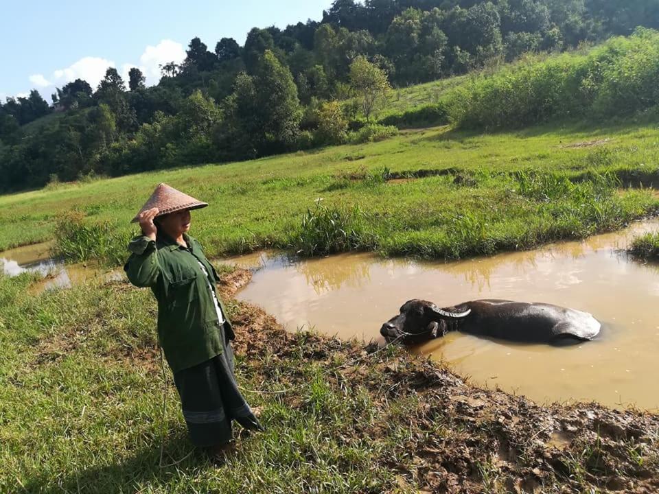 Hotel Shwe Nann Htike Pyin Oo Lwin Bagian luar foto