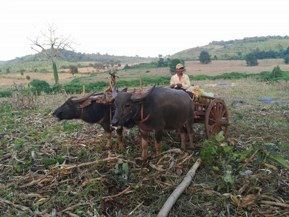 Hotel Shwe Nann Htike Pyin Oo Lwin Bagian luar foto